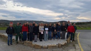 Medovite Zdravilišče 9